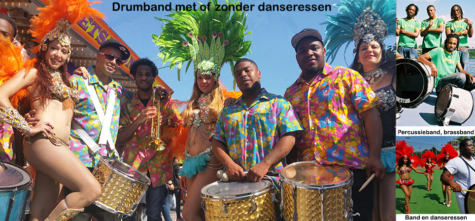 Zonnige palmbomen, tropische drankjes en danseressen