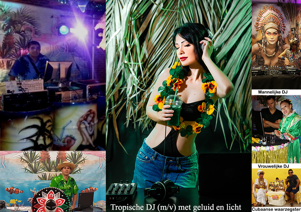 Zonnige palmbomen, tropische drankjes en live muziek