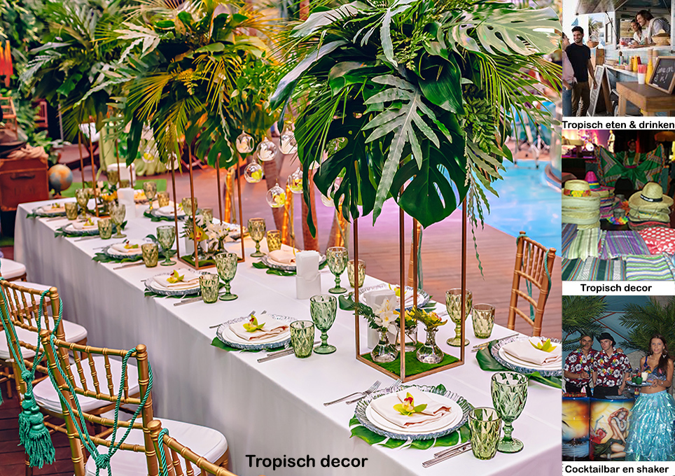 Tropische drankjes en grasrokken decor feest